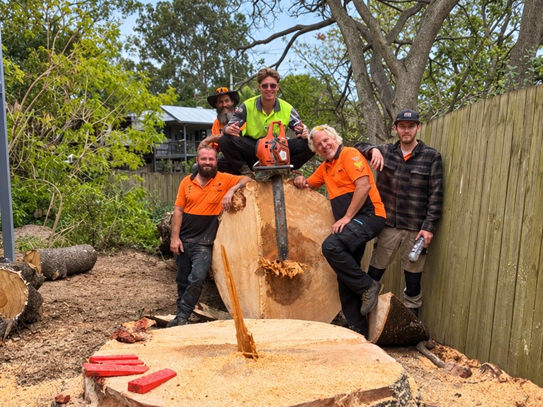 Five of the Colourful crew around a big round cut from a trunk, with a chainsaw on top